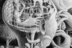 The Goldberg Solution_detail_01